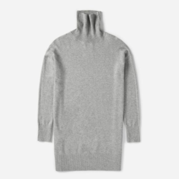 Everlane Dresses & Skirts - Everlane Cashmere Turtleneck Sweater Dress
